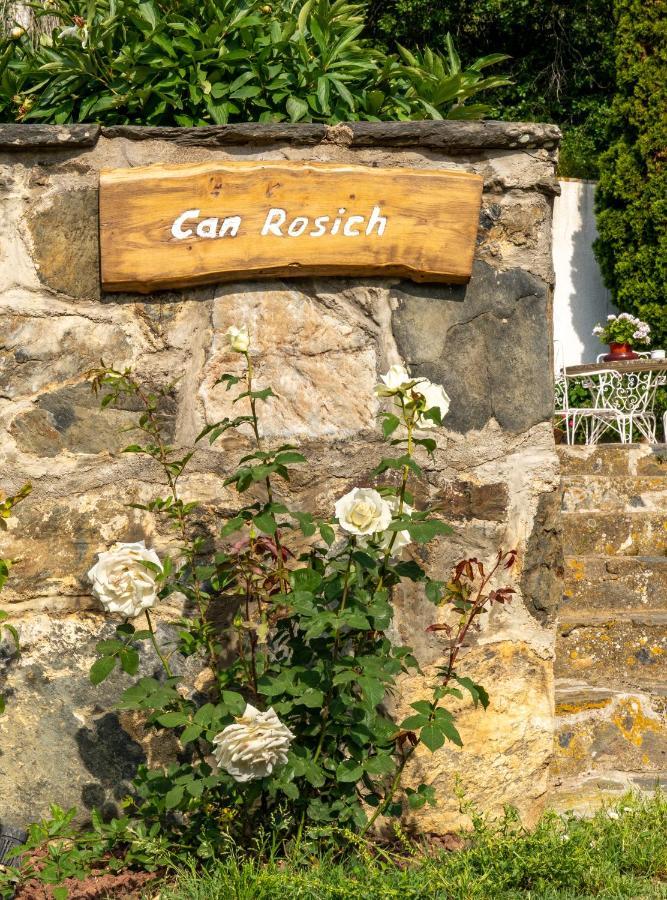 Can Rosich Santa Susanna Bagian luar foto